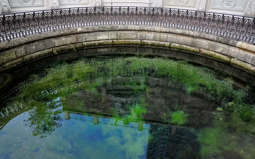 Donauquelle Donaueschingen